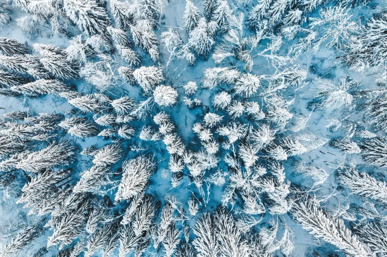 Апартаменты La Petite Azalee Монрьон Экстерьер фото